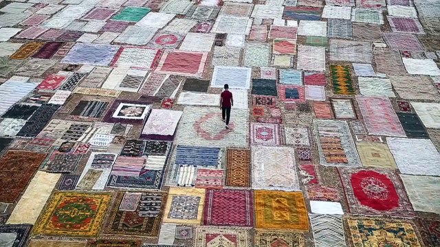 Görsel şölen oluşturan halı tarlaları ilgi çekiyor - ANTALYA