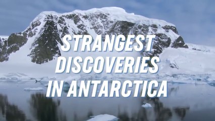 10 Strangest Things Found In Antarctica