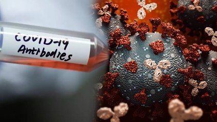 குணமானவர்களின் ரத்தத்தில் கொரோனாவை தடுக்கும்  Antibody.. விஞ்ஞானிகள் கண்டுபிடிப்பு