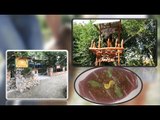 Restoranti në Drilon gatuan mish ariu, në Shqipëri shiten online shqiponja, bufë e ujq! Flet pronari