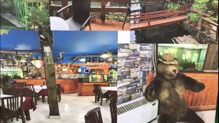 Ari i balsamosur dhe tavë me mish kaprolli , ky është restoranti i akuzuar nga prestigjozja angleze