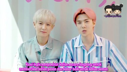 [INDO SUB] EXO SC CASS BEER