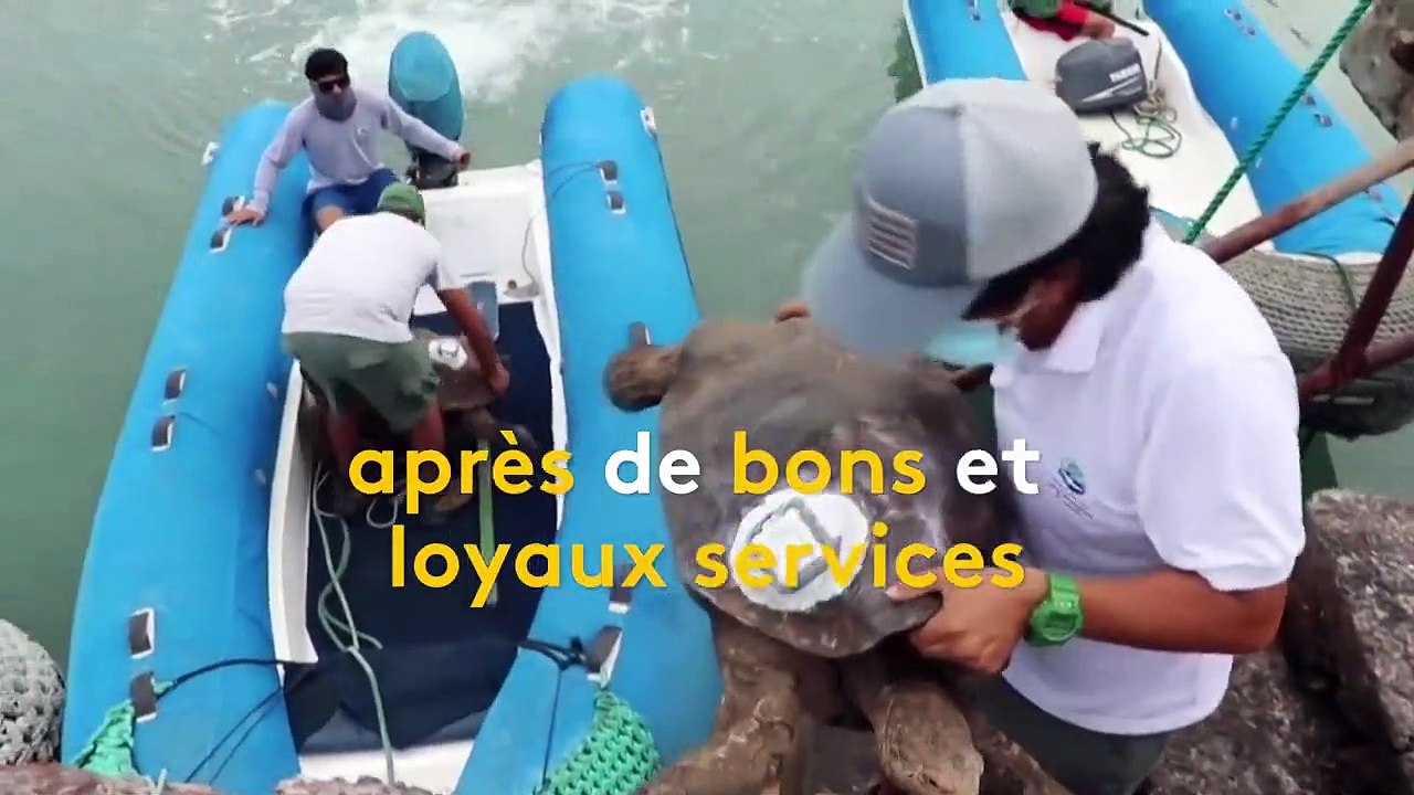 Animaux : après avoir sauvé son espèce, Diego l...