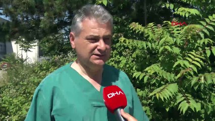 İstanbul’da otoban kenarında karaca görüntülendi: Korunmasını istiyoruz