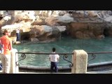 Trevi fontana di Trevi in Rome Italy