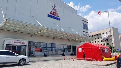 Kastamonu’da kenenin ısırdığı 7 kişi tedavi altına alındı