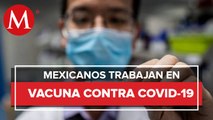 Mexicanos comienzan a trabajar en vacuna para el covid-19
