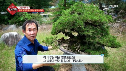 달인이 들려주는 분재 이야기
