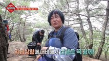 귀한 산삼을 찾는 약초꾼들의 자세