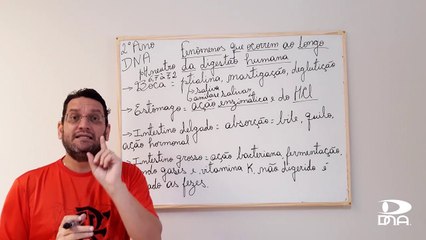 Fisiologia da Digestão Humana