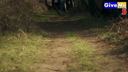 ertugrul season 1episode 21 urdu