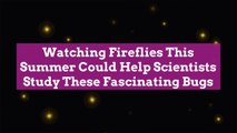 Watching Fireflies This Summer Could Help Scientists Study These Fascinating Bugs