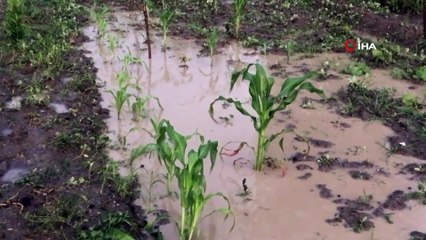 Tokat’ta sağanak tarım arazilerini vurdu
