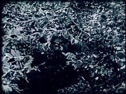 THE RETURN OF DRAW EGAN (1916) - William S. Hart, Louise Glaum/ 1916