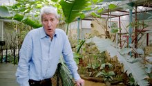 Britain's Great War episode 1 - War Comes to Britain
