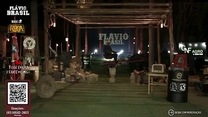 O concerto em direto que durou menos de um minuto porque o cavalo se revoltou