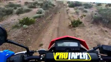 Dirt Biker Saves Abandoned Kittens