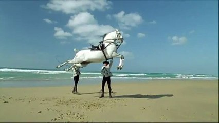 Andalucía invita al turismo con versos de Rafael Alberti