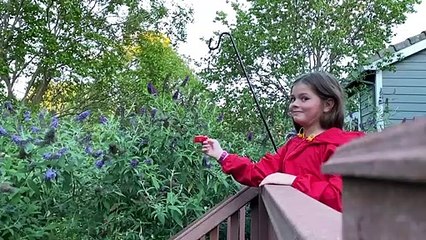 Little Girl is a Hummingbird Whisperer