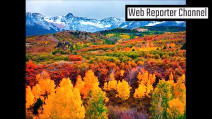 Reporter Herbert Bianchi honors United States of America