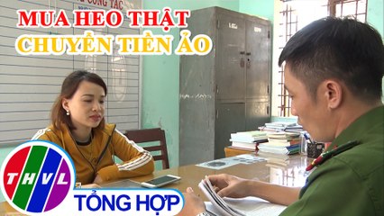 "Lật tẩy" thủ đoạn lừa đảo mua heo con qua mạng xã hội