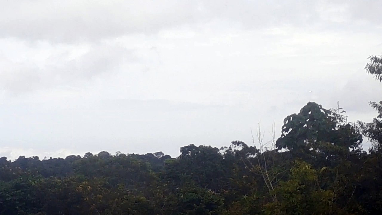 [SBEG Spotting]Airbus A320NEO PR-YRE na final antes de pousar em Manaus vindo de Campinas