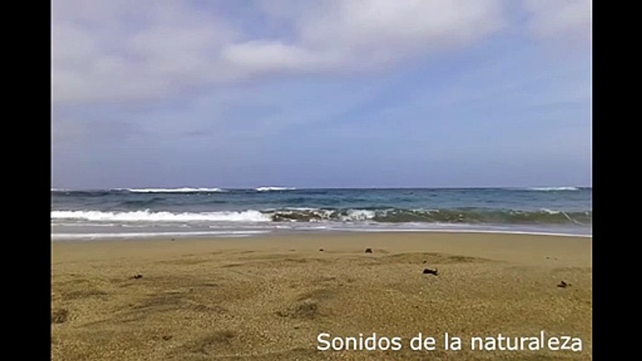 Sonido del mar para relajarse   waves sound