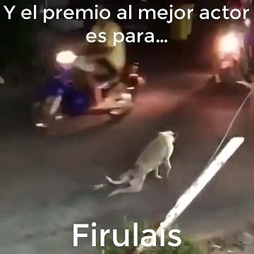 Y el premio al mejor Óscar es para : FIRULAIS!!!!