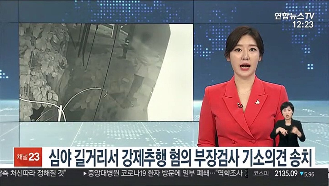 심야 길거리서 강제추행 혐의 부장검사 기소의견 송치