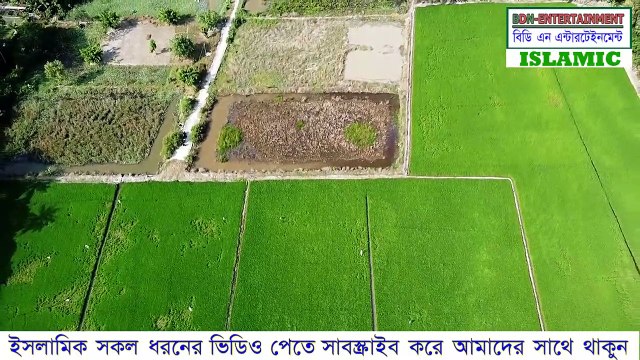 ভাতের একটি দানা বানাতে ৭০জন ফেরেশতা লাগে | Islamic video bangla | hadis bangla | Quran bangla