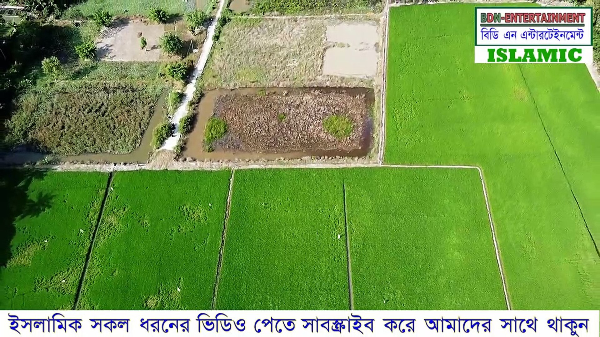 ⁣ভাতের একটি দানা বানাতে ৭০জন ফেরেশতা লাগে | Islamic video bangla | hadis bangla | Quran bangla