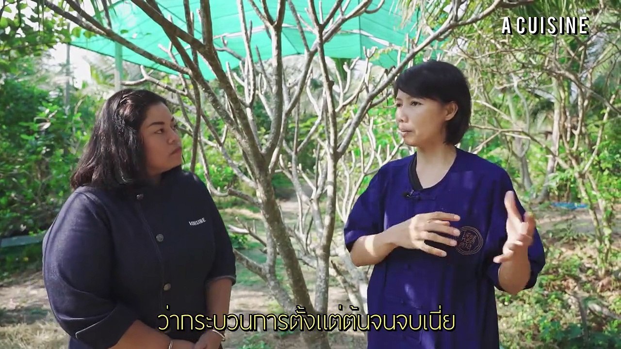 เคล็ดลับการเลือกน้ำตาลมะพร้าวแท้