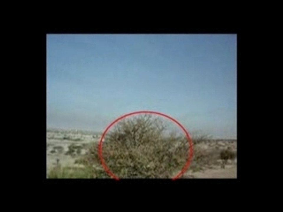 Low Passing Plane Debunk