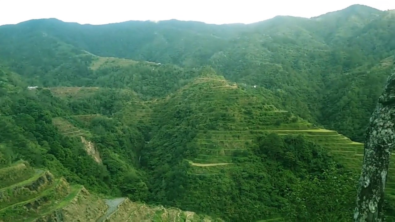Banaue Rice Terraces (2020)-Philippines