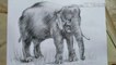 Elephant painting | How to draw Elephant | charcoal pencil Shading | step by step For beginners