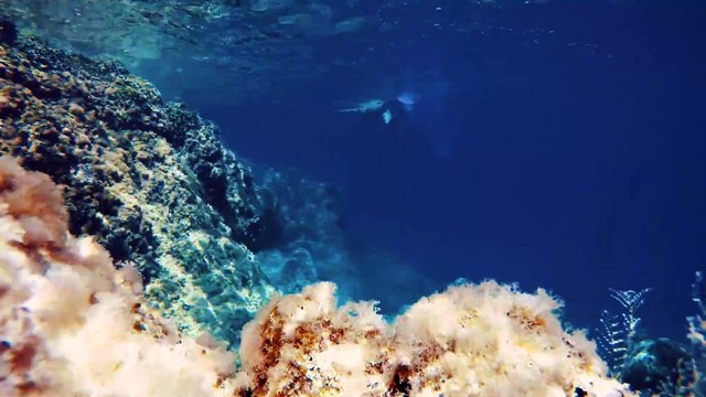 Stavros - My Greece (Official Music Video)