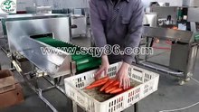 SS 304 Carrot Head and Root Cutting and Removing Machine Manufacturer