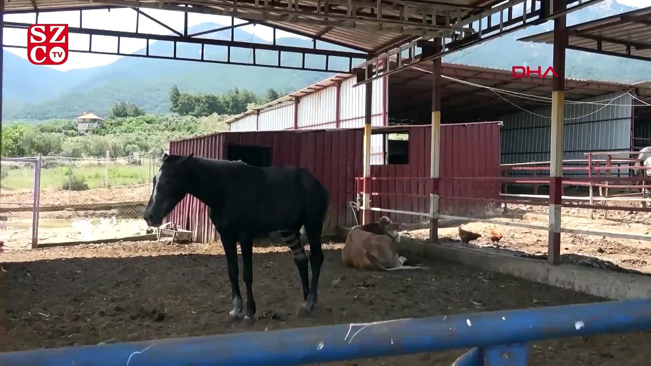 Haluk Levent, Ferdinand ve Duygu'yu ziyaret etti