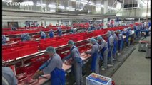 Más de 650 casos de covid entre los trabajadores de un matadero en Alemania