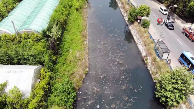 Boğaza dökülen Küçüksu Deresi'nin hali içler acısı durumda