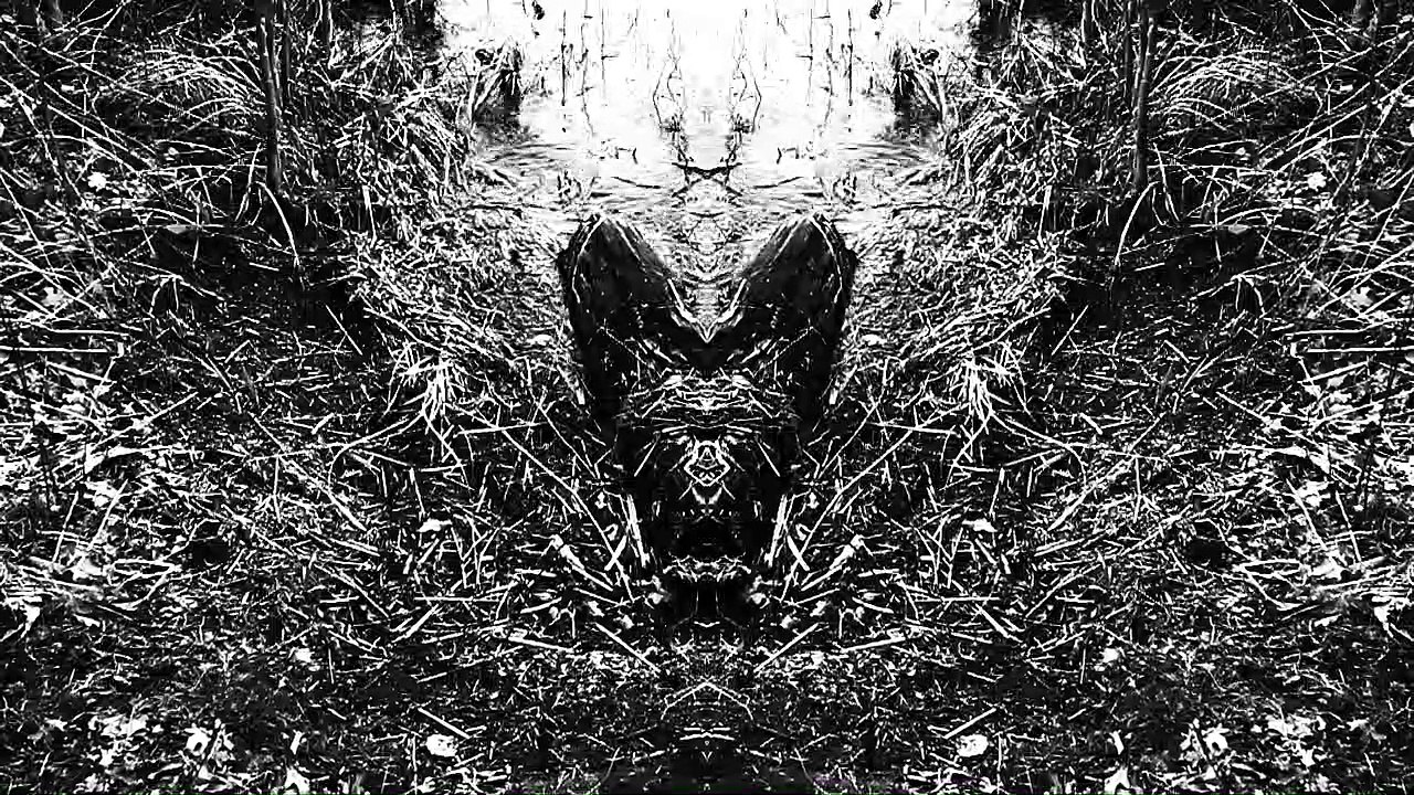 Refu - Harbour NEW CLIP /Full Film/Complete Movie/Ganzer Film