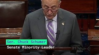 Schumer_ GOP Policing Bill 'Does Not Rise' to the Moment