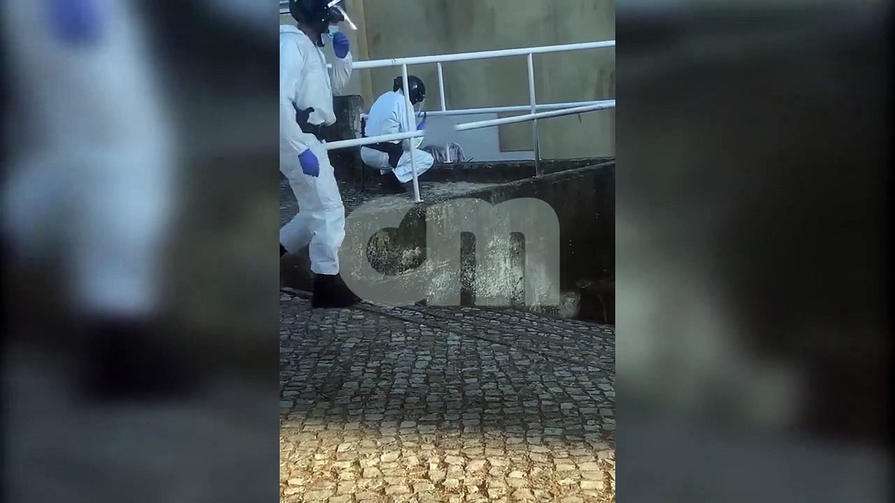 População amarra jovem suspeito de ter Covid-19 que passeava em bairro de Lisboa