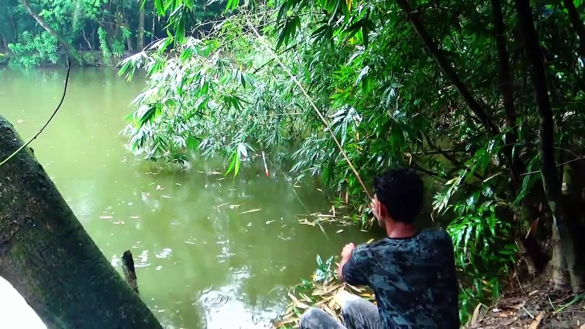 ⁣Natural Fishing - Best  Fishing & Flour fishing - Amazing Catching  Rainy Season