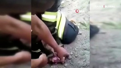 Kediyi kalp masajı ile hayata döndürdü