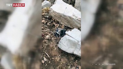 Haftanin'de tuzaklanan patlayıcılar etkisiz hale getirildi
