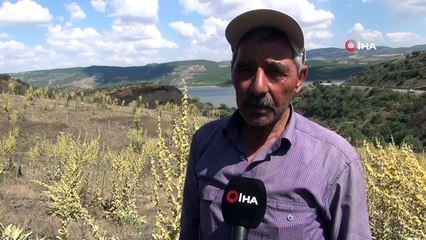 12 bin yıllık ayak izlerinin gönüllü koruyucusu