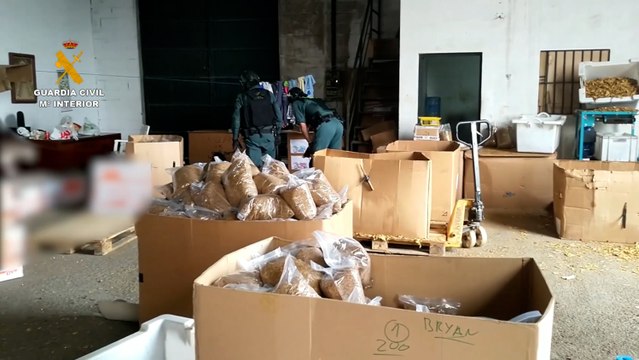 Guardia Civil interviene 34.800 kilos de tabaco de contrabando