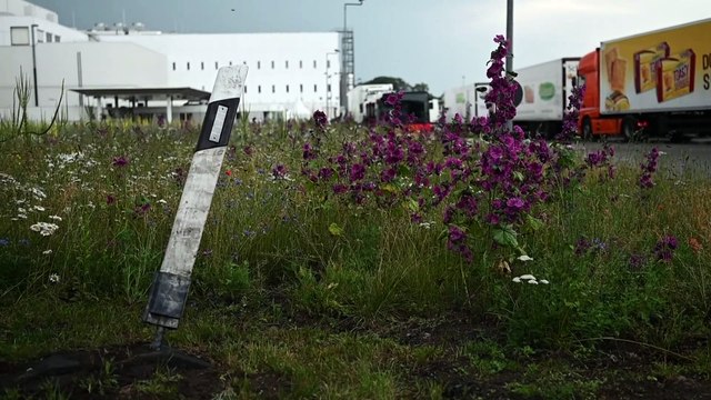 Los contagios por coronavirus en un matadero de Alemania se elevan a 657