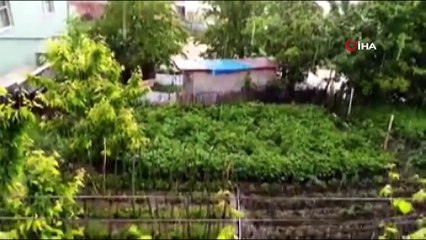 Dolu yağışı Bursa'nın dağ yöresini perişan etti